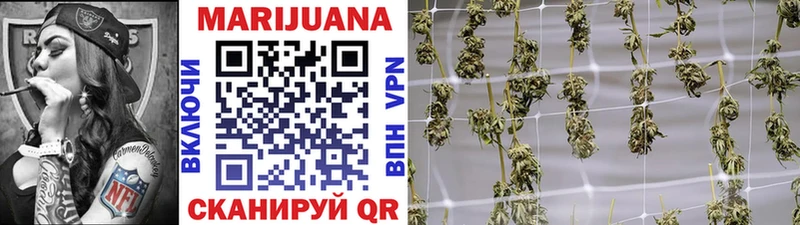 где найти   Куровское  Марихуана индика 